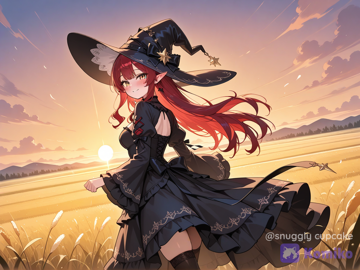 Walking to The sunset