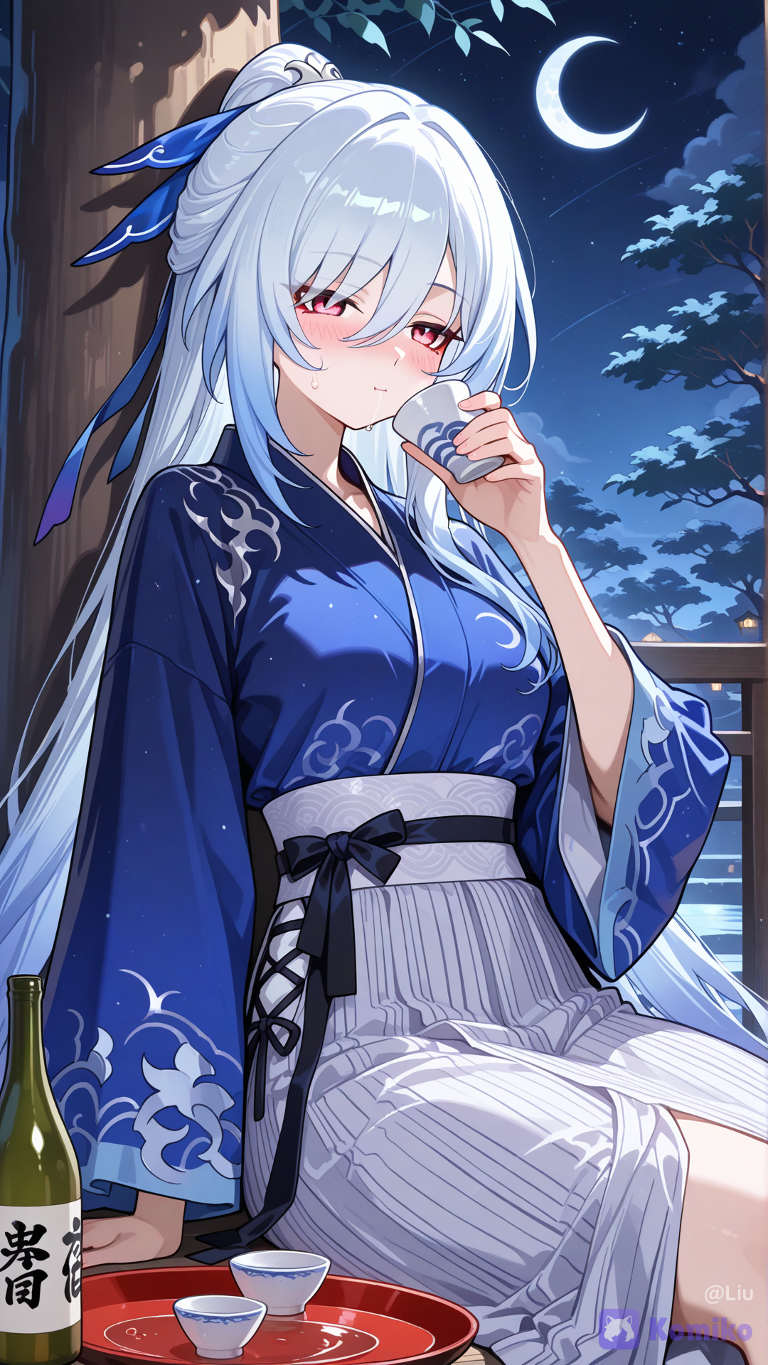 Beautiful night with sake