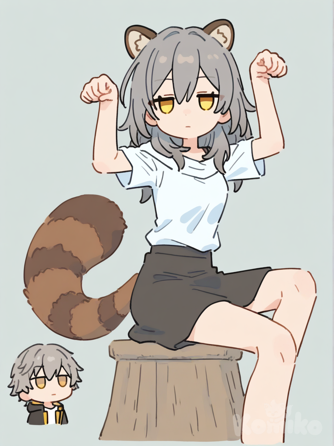 Raccoon Stelle 
