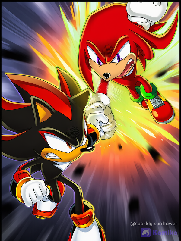 Shadow VS. Knuckles