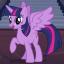 mlp