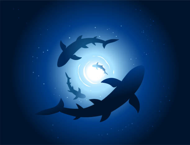 Sharks