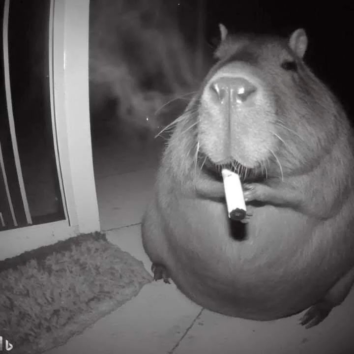 Capybara