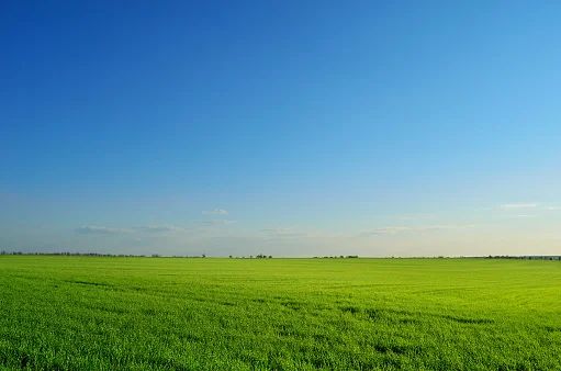 Hoy fui al campo de mi abuelo