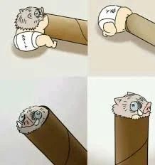 Inosukes childhood be like XD