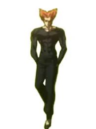 Garou