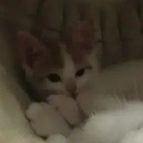 Rest, My baby.
