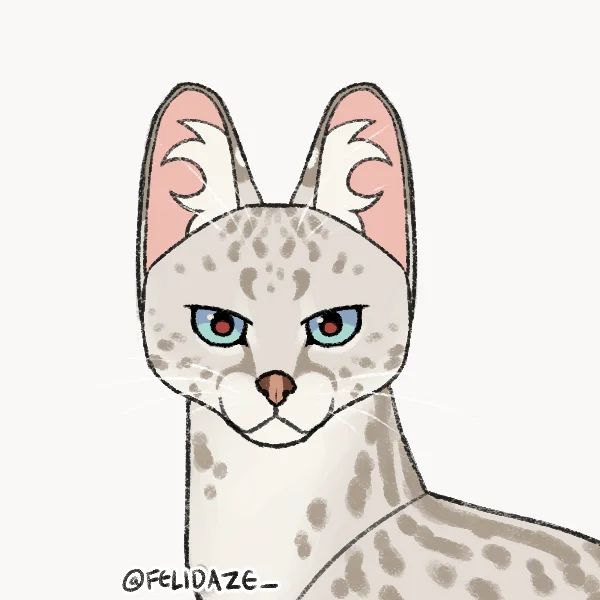 Fluffkitmc 