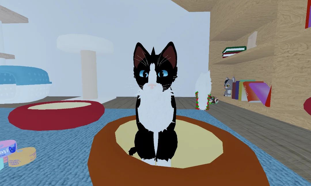 Wcue x kitten game 