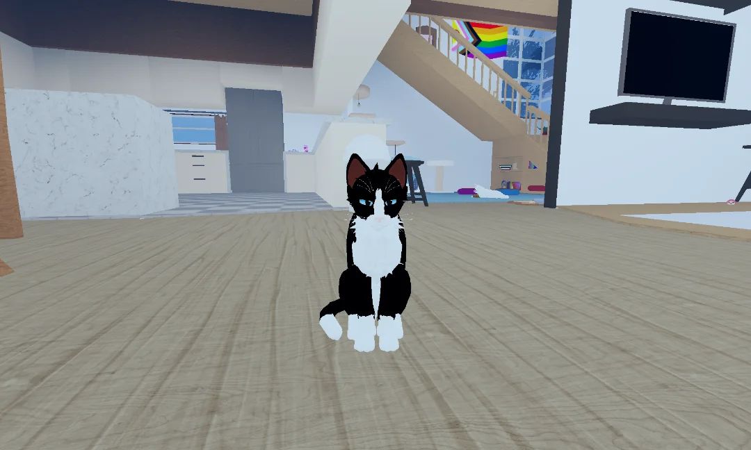 Wcue x kitten game 