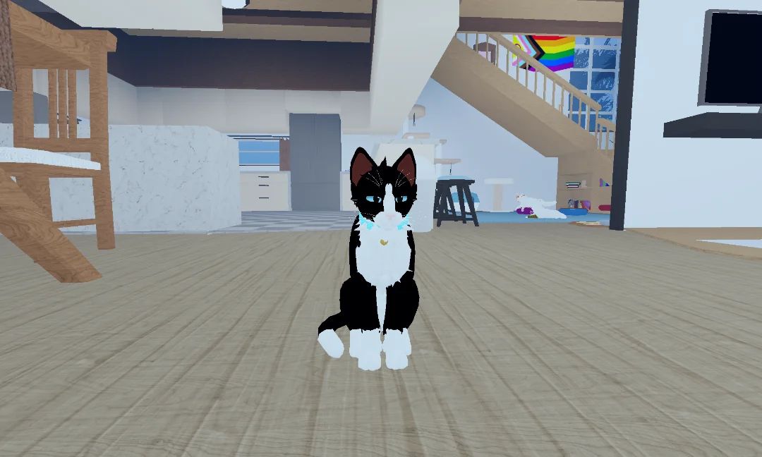 Wcue x kitten game 