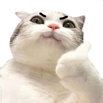 Me at 3:00AM: