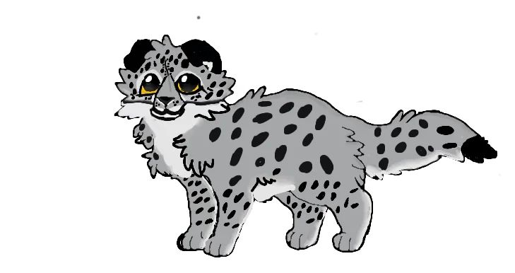 Cheetah cat