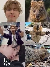 He really is a squirrel TvT