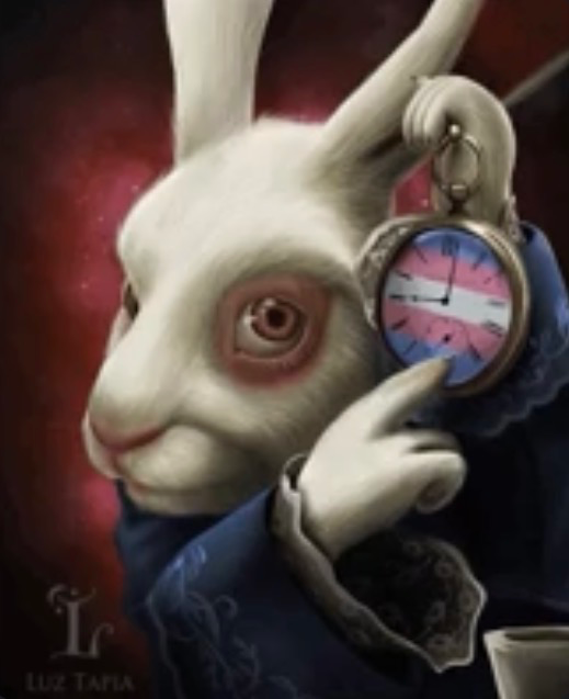 trans time