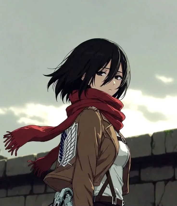Mikasa Atack on titan