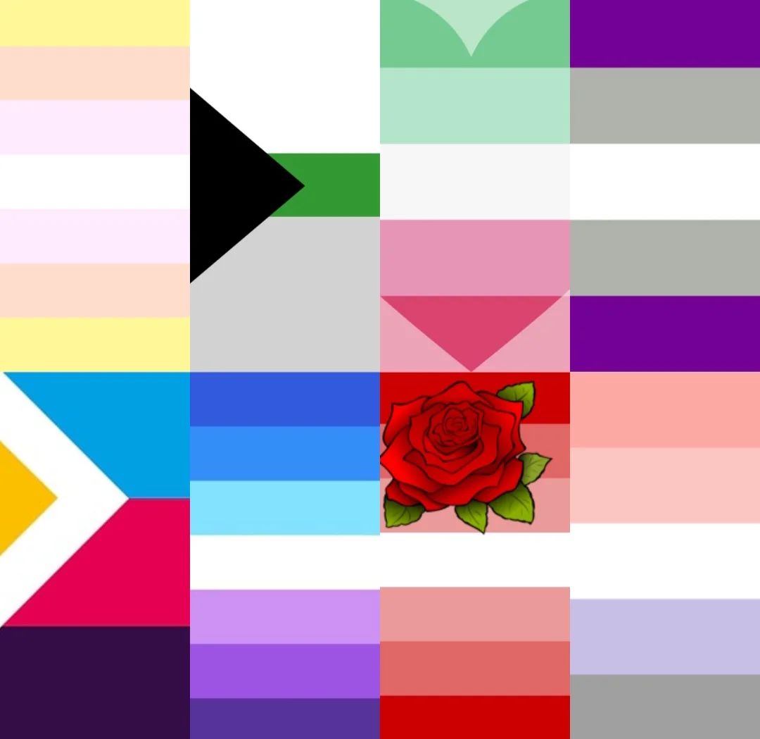 These are all my flags finally 🩷