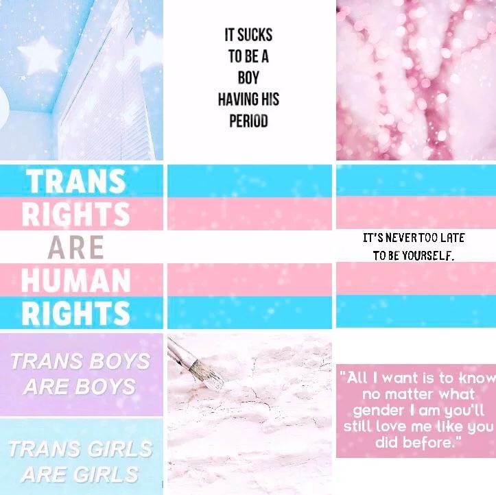 Respect the trans if you dont i will cut off your hands🩵🩷🤍🩷🩵