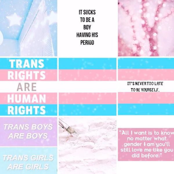 Respect the trans if you dont i will cut off your hands🩵🩷🤍🩷🩵
